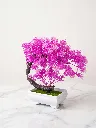 Gemini_Generated_Image_ar4p1par4p1par4p.webp