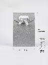 Gemini_Generated_Image_61vm4s61vm4s61vm.webp