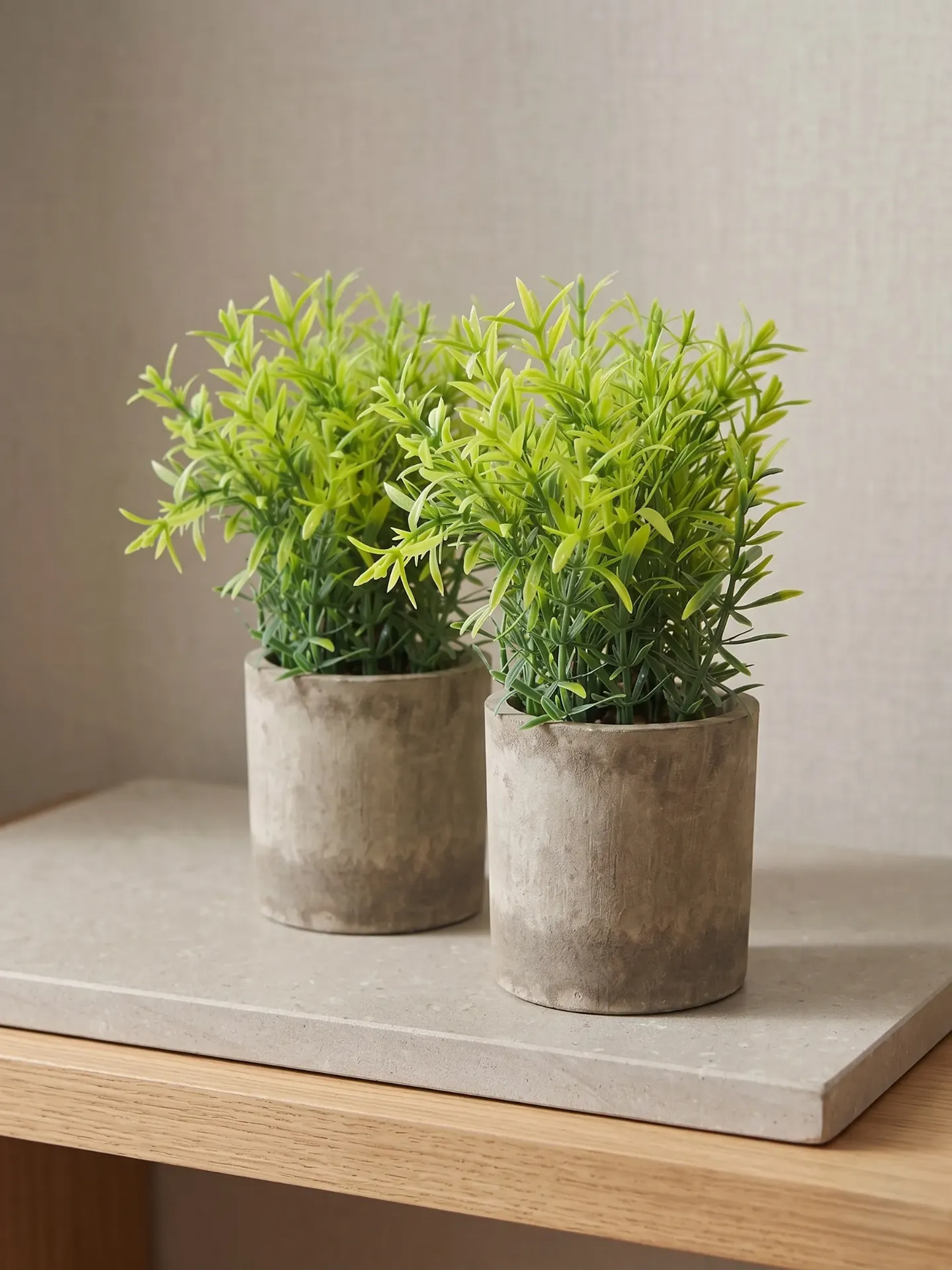 Decorative Bonsai Antique pot (Mix Design) (2 pcs)