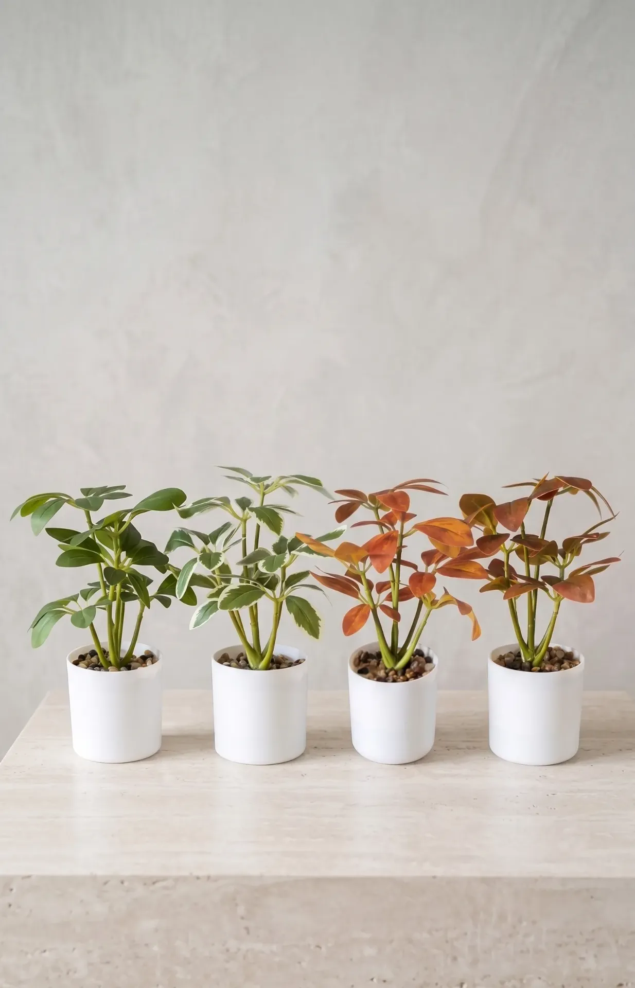 Decorative Bonsai Artificial Plant (4 Mix Design) (1 pcs)