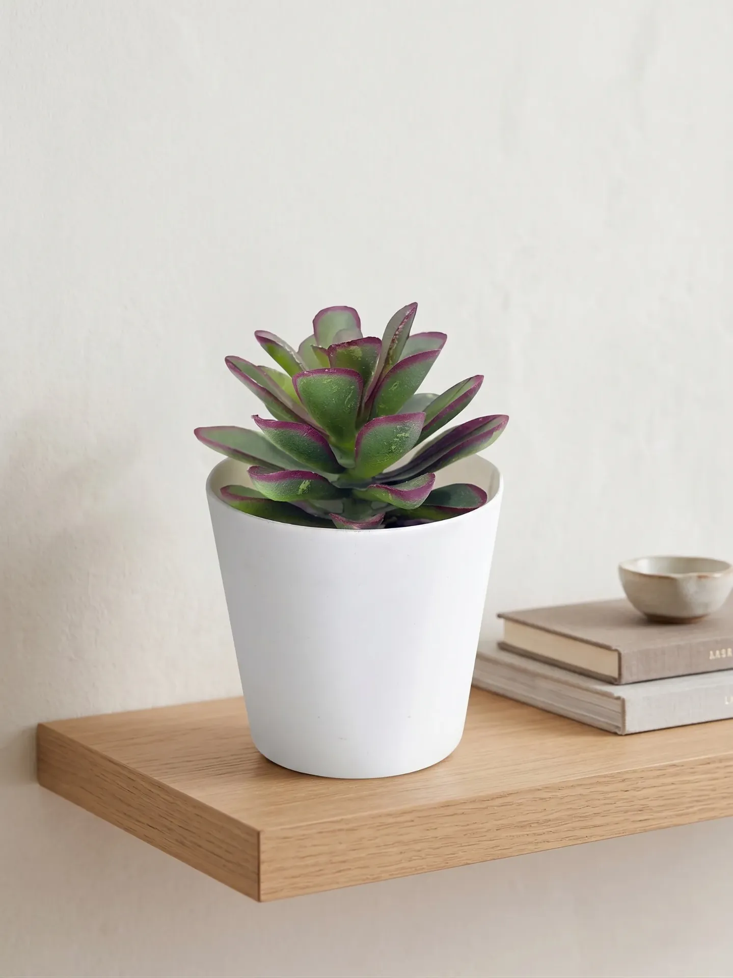 Mini Succulent Artificial Pot 2 (Mix Design) (4 pcs)