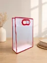 Plastic D Cut Gift Bag (Large)